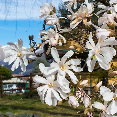 B&B Villa Camilla Pralungo 外观 照片