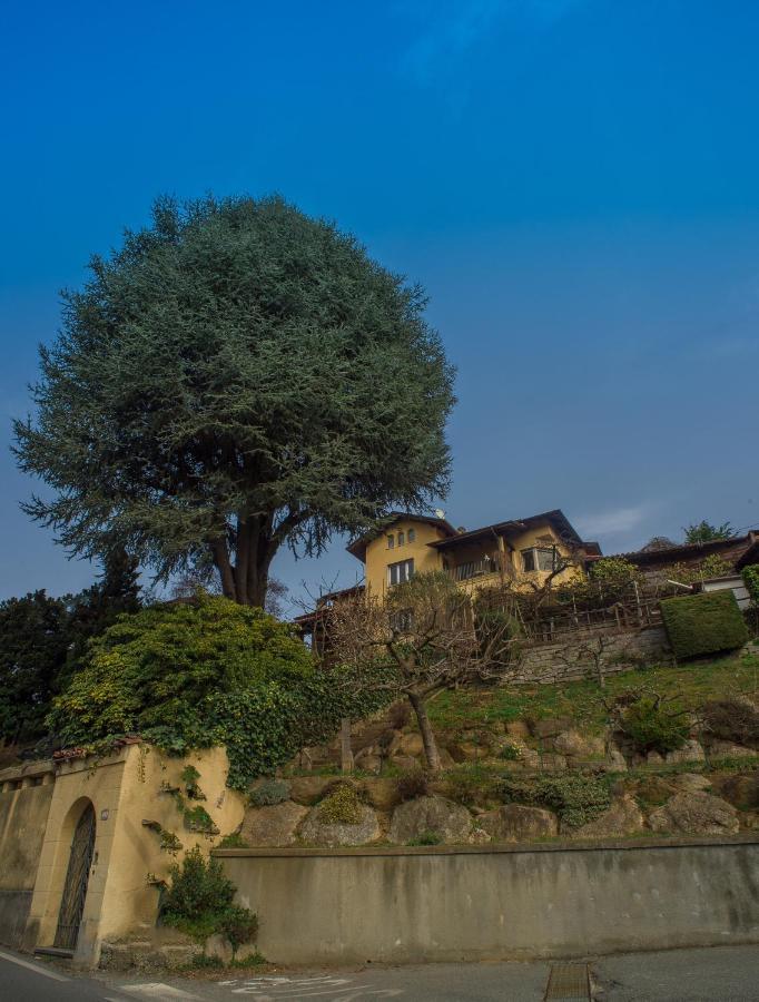 B&B Villa Camilla Pralungo 外观 照片