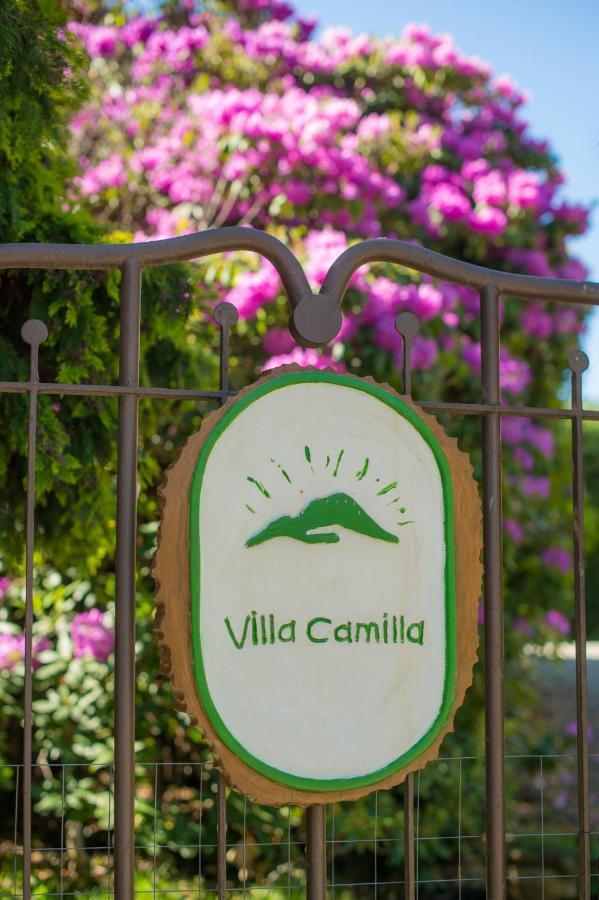 B&B Villa Camilla Pralungo 外观 照片